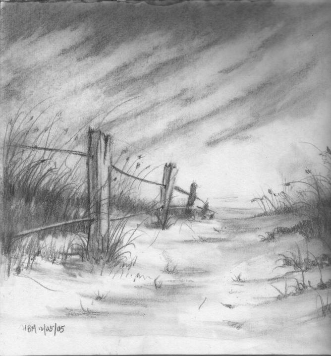 beach-path