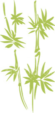 OldHome
