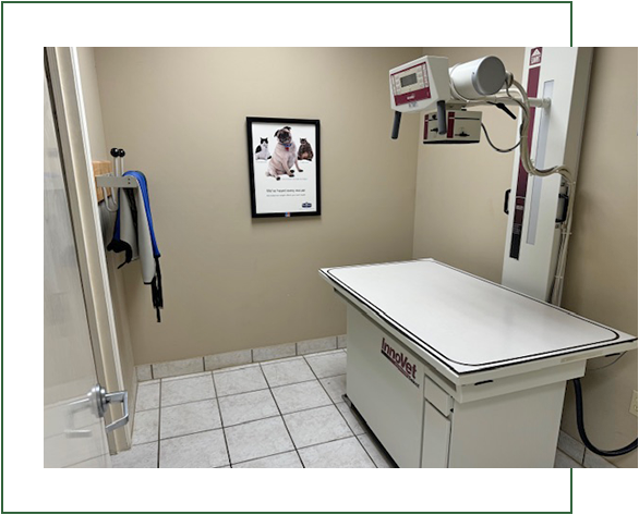 Surgery Room