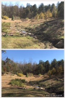 Mowing & trimming in a dry pond bed.