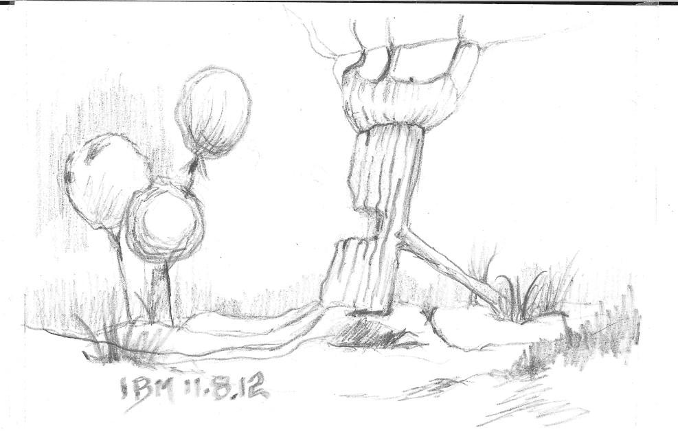 --ibm-11-8-12