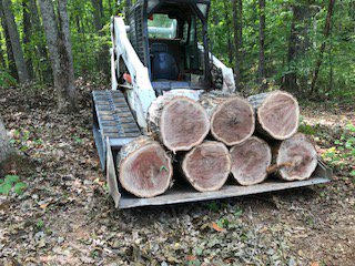 Some nice red oak wood we cut for a customer 