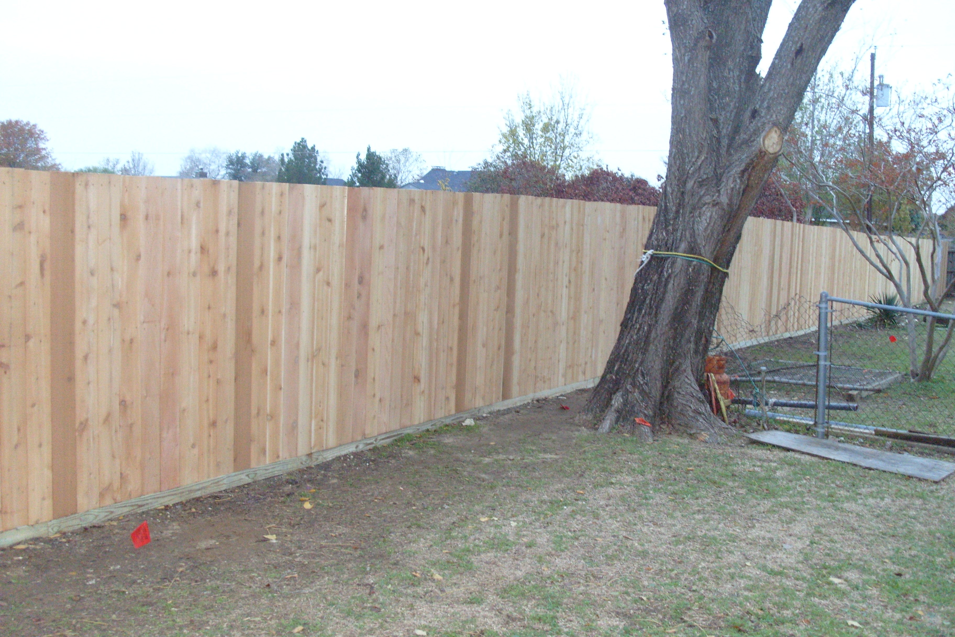 Ongoing Fencing Project