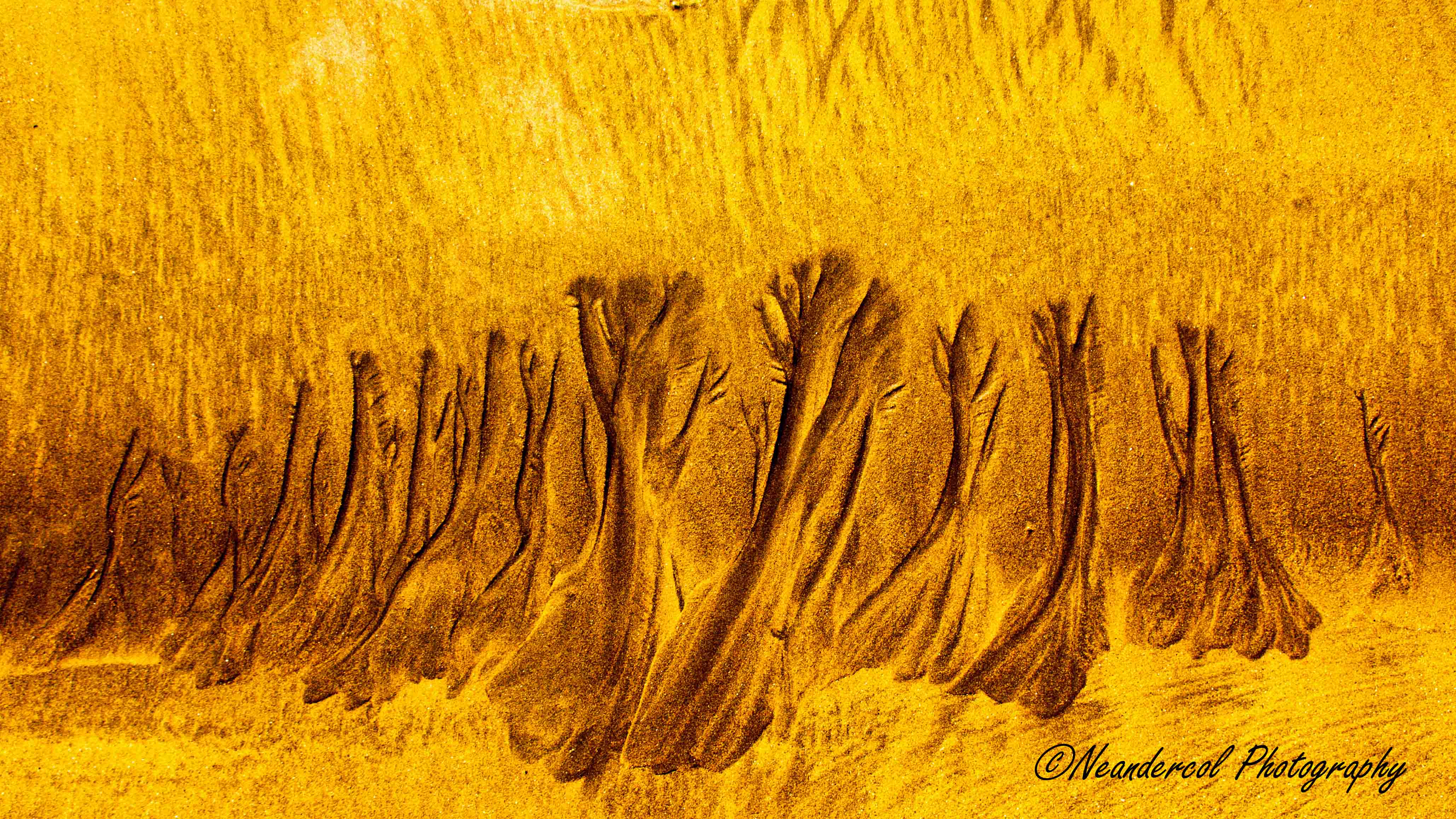 Sand Patterns, Tenerife