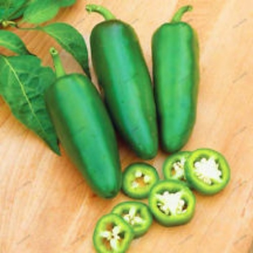 Jalapeno M Jalapeno M