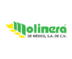 https://0201.nccdn.net/4_2/000/000/081/4ce/banner-molinera-mexico.png