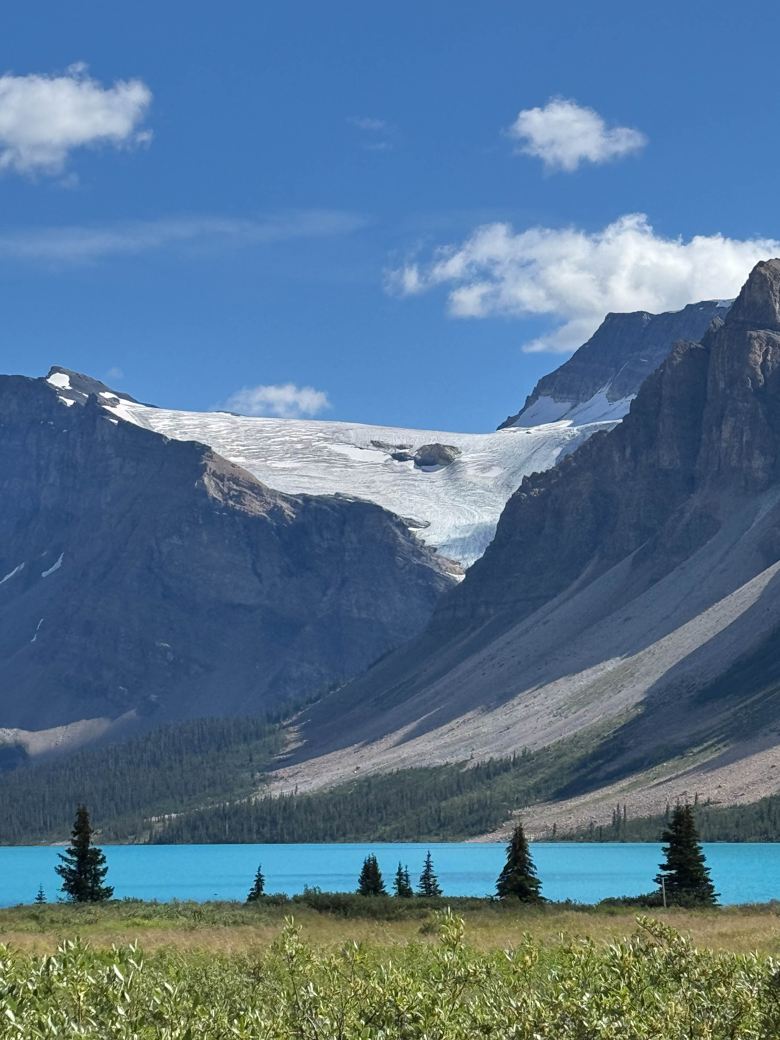 https://0201.nccdn.net/4_2/000/000/081/4ce/calgary-order-212.jpg