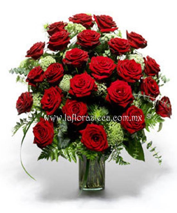 LFA-RS003 48 Rosas
Precio $1,490