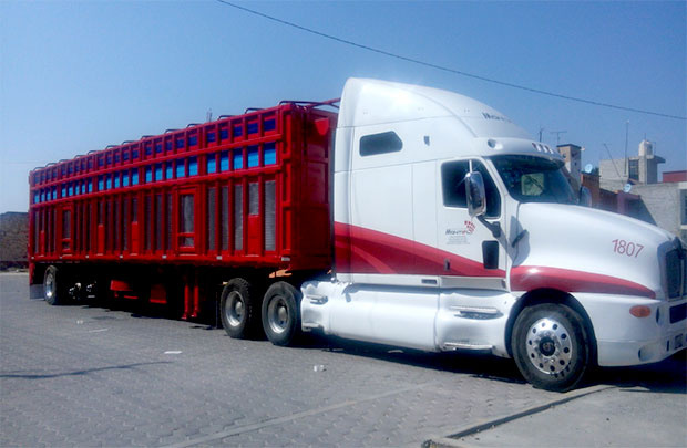 Grúas y Remolques Mtz - Fabricación de remolques