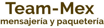 Servicios de mensajería – Team-Mex mensajería y paquetería – Matamoros