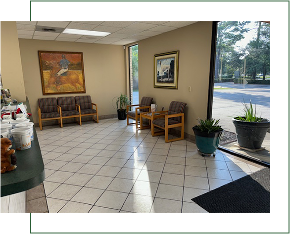 Pet Clinic Reception Area
