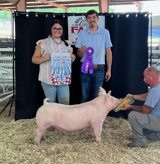 Marlo Selby
2024 White County Fair
Champion Chester White Barrow
Champion TN Bred Barrow
4th Overall Purebred Barrow
