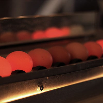 Farm-Fresh Eggs 5 Farm-Fresh Eggs 5
