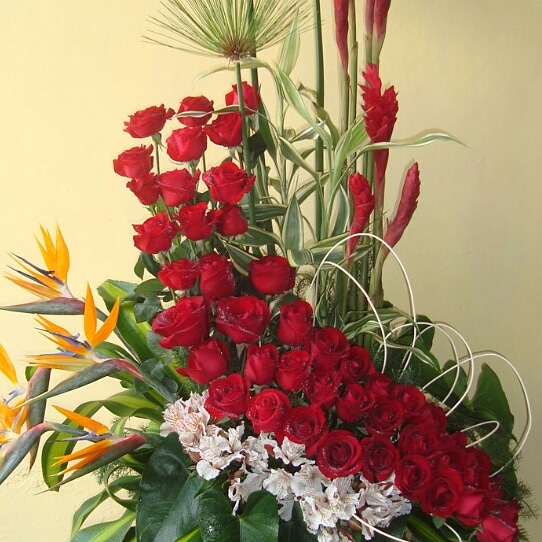 https://0201.nccdn.net/4_2/000/000/082/8ea/IMG-20190430-WA0082.jpg