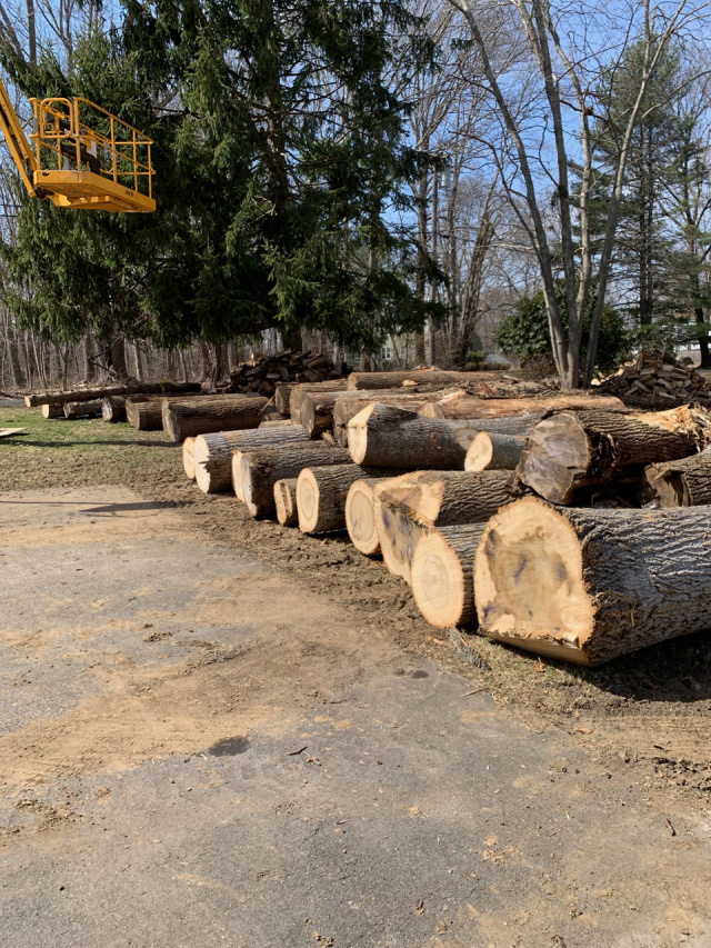 Terrific Timbers Llc Portable Sawmill Service Portable Sawmill