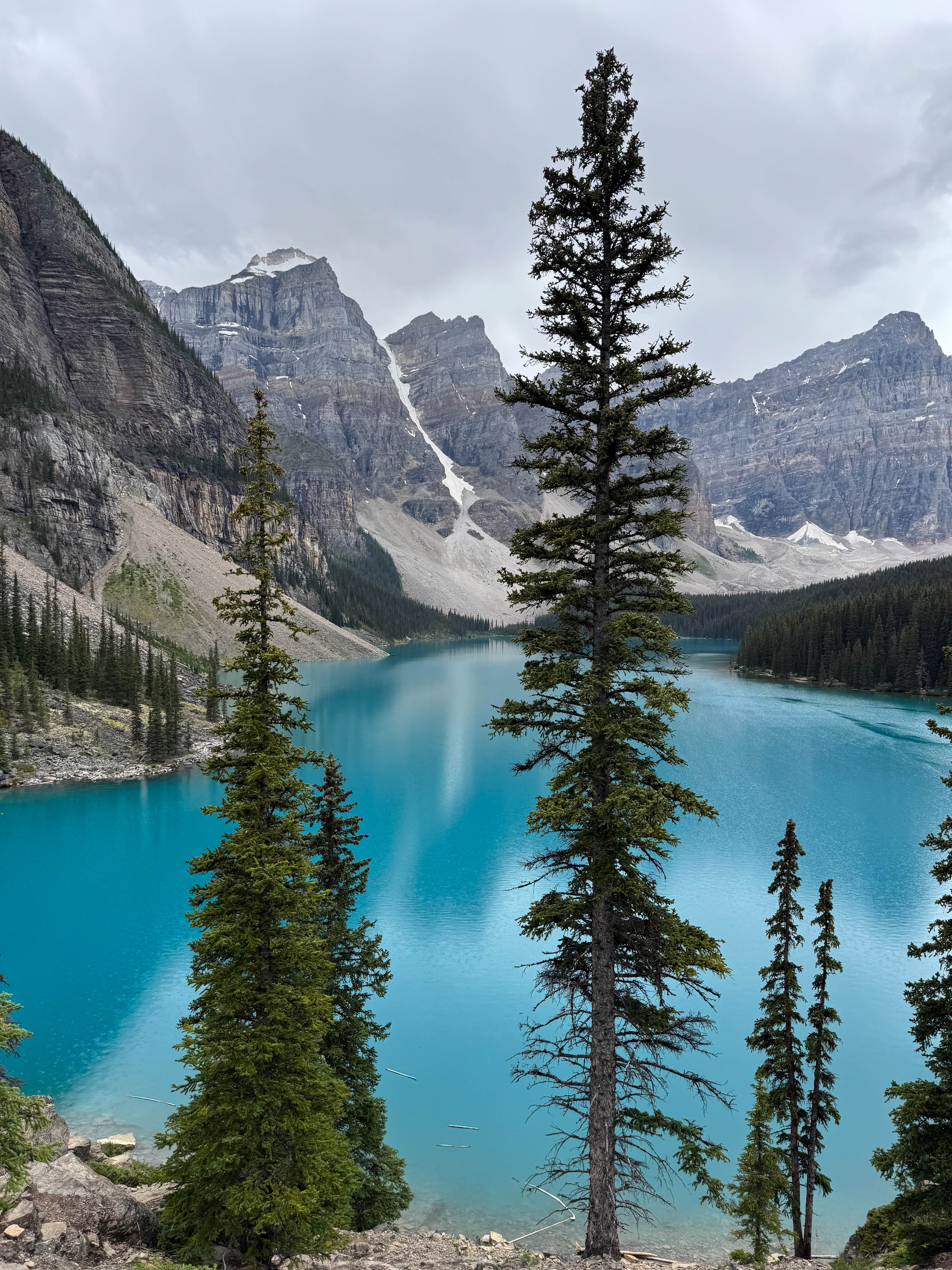 https://0201.nccdn.net/4_2/000/000/082/8ea/calgary-order-99.jpg