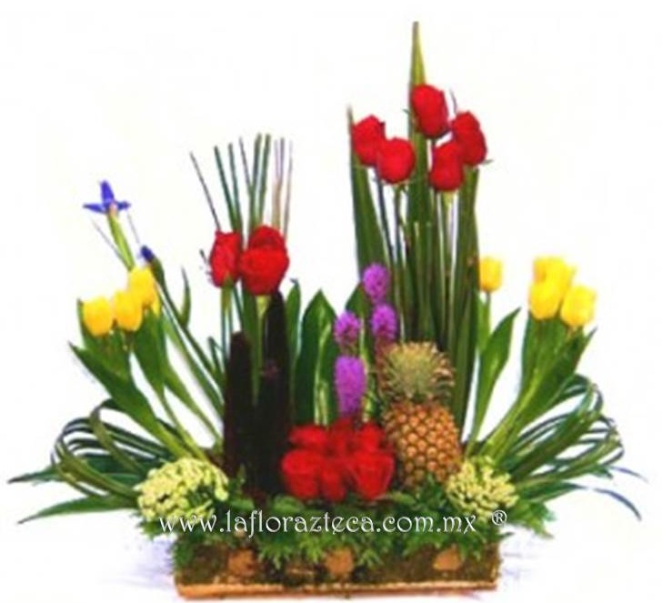 LFA-OT017
Precio $1,290