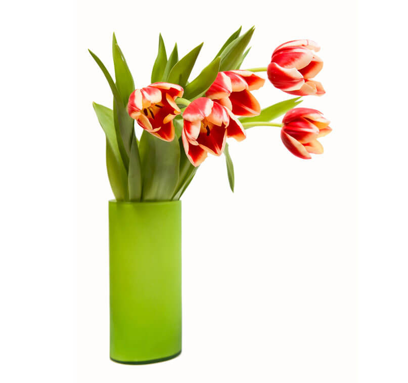 Guift Regalos Para el Hogar - FLOREROS