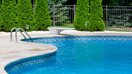 Swimming Pool with Trees at Side