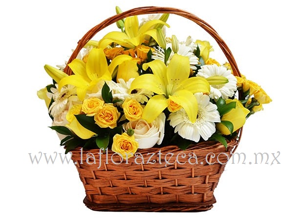 MD - 124  $1,180
Bella canasta de rosas,lilies y gerberas