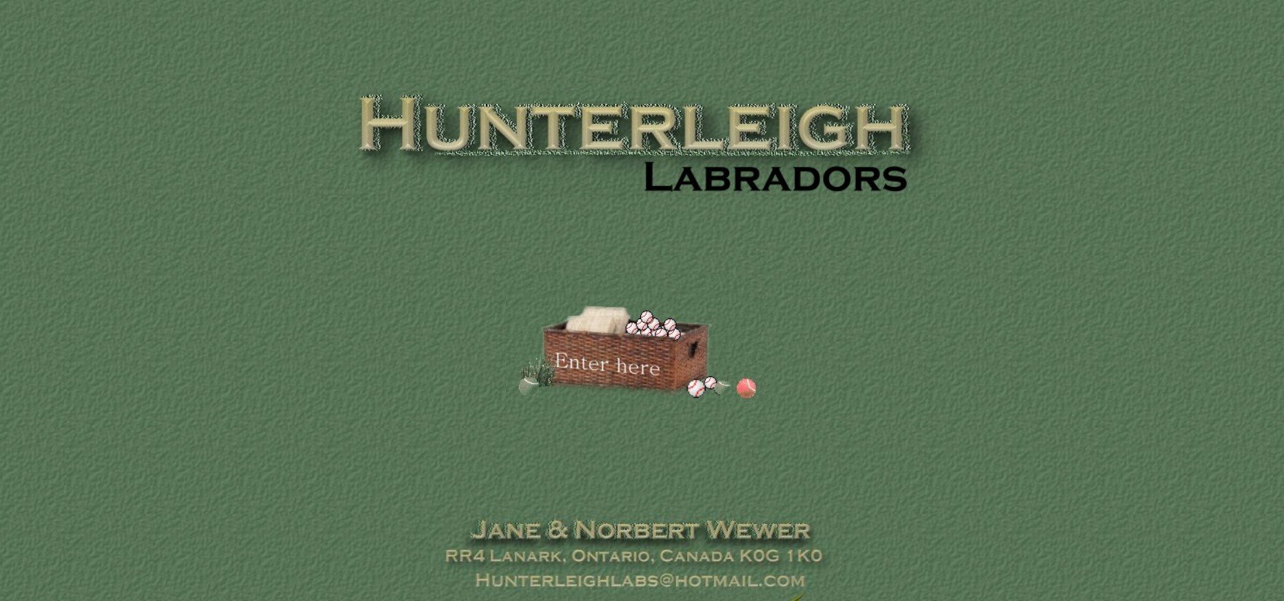 Hunterleigh Labradors