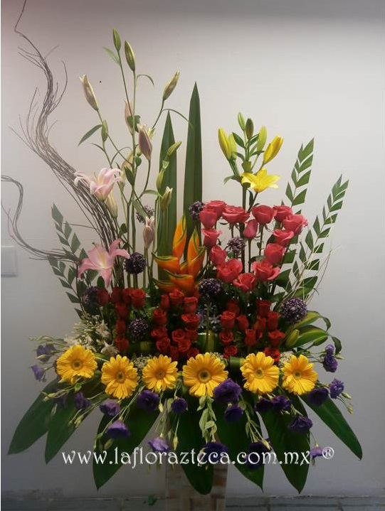 LFA-404
Precio $2,890
