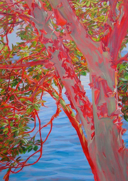 Madrona at Water's Edge  36x48 sold