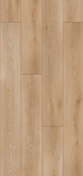 ACONCAGUA
TS4MA8-1010