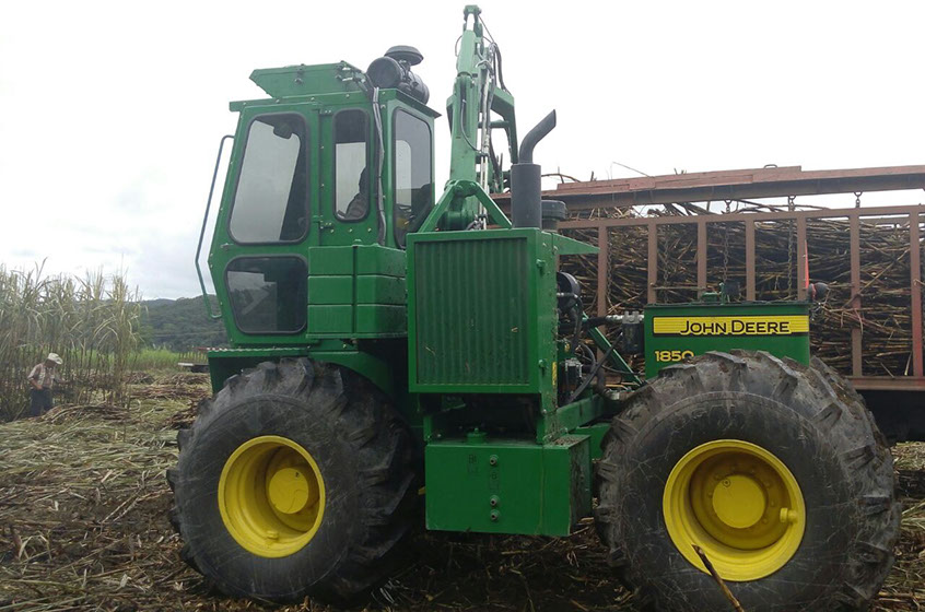 Unión Local de Productores de Caña de Azúcar CNC del Ingenio Alianza Popular A.C. - Recolección de Caña