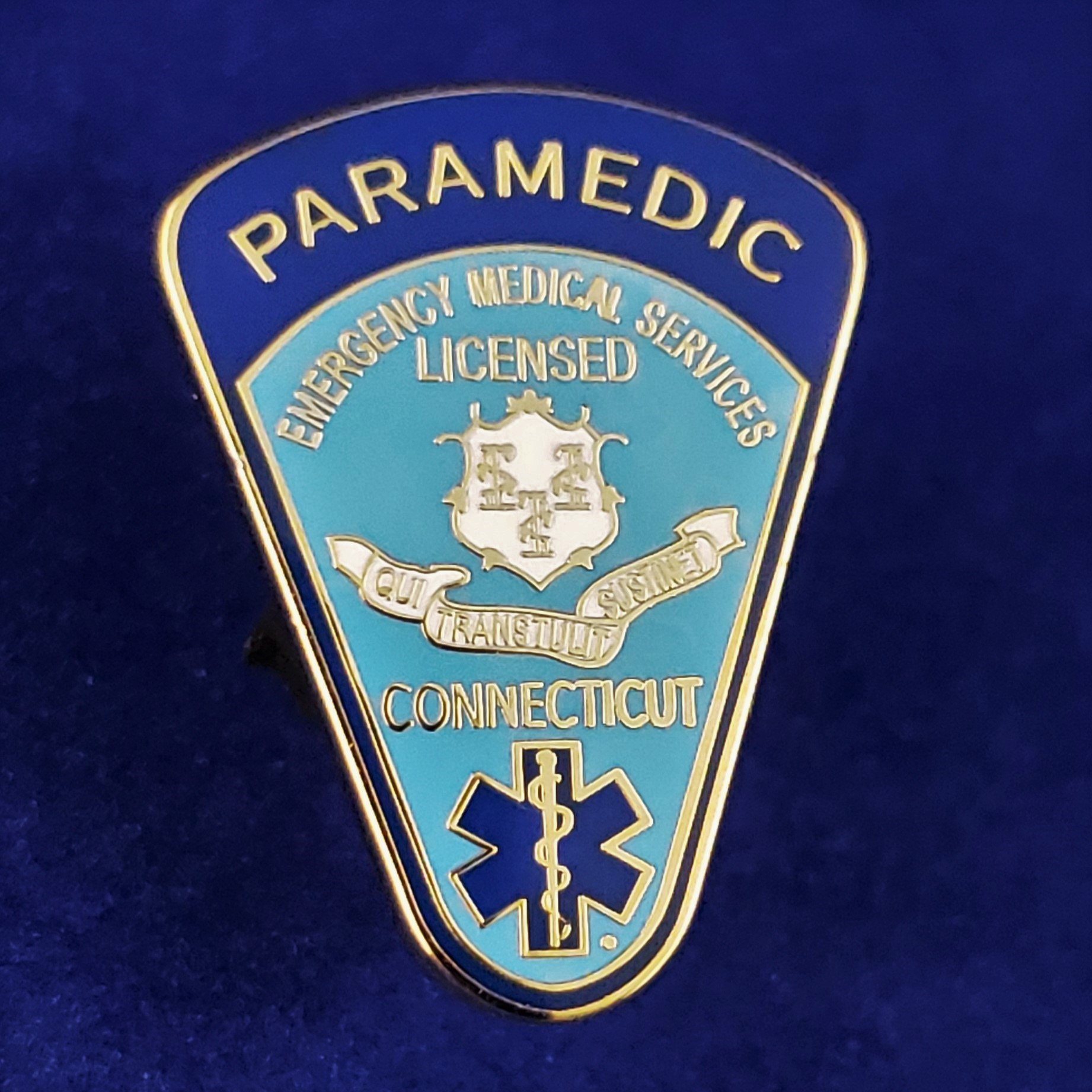 PIN Paramedic Insignia Lapel Pins