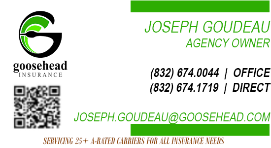 https://0201.nccdn.net/4_2/000/000/084/3b1/goosehead.png