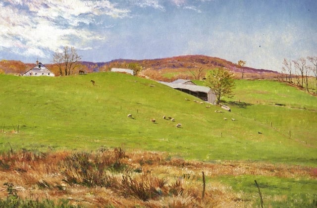Kushnir, Sheep in West Meadow