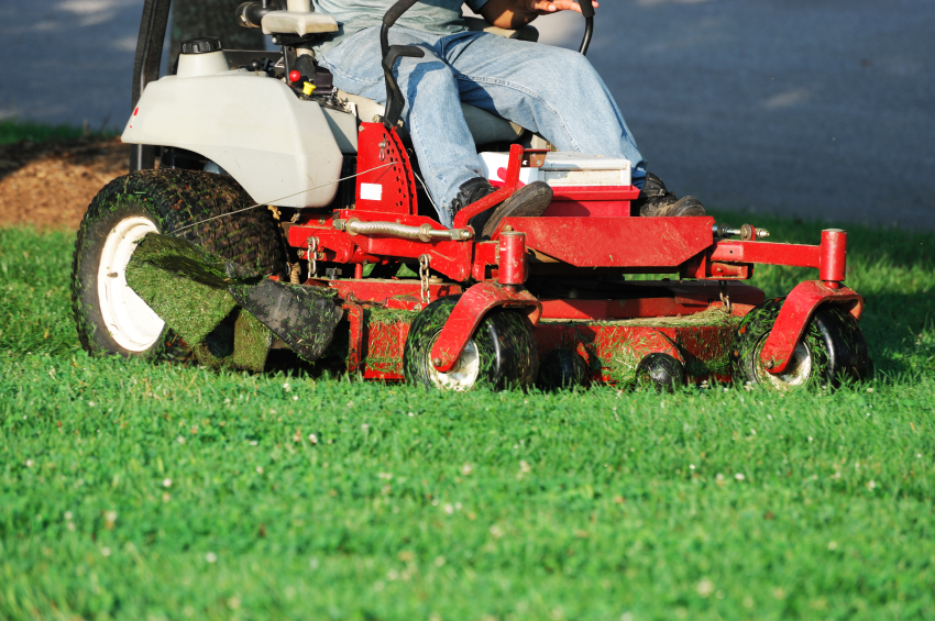 Lawn mower in the grass Lawn mower in the grass