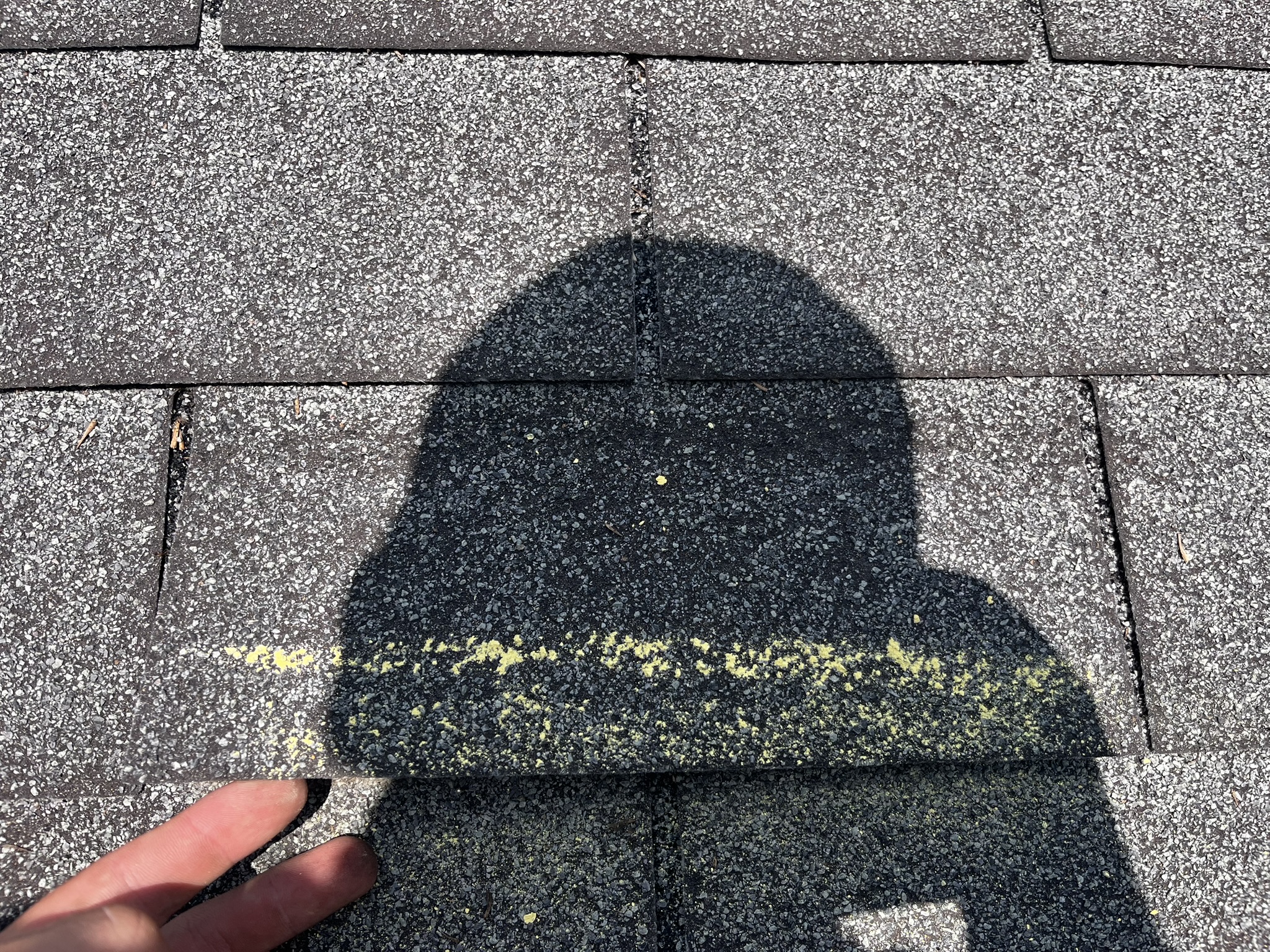 Creased shingle (Wind Damage)