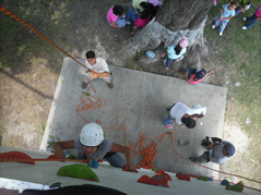 https://0201.nccdn.net/4_2/000/000/084/929/dorados-muro.jpg