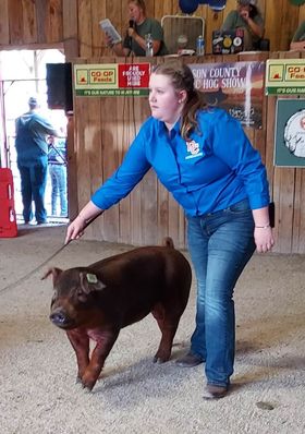 Leah Cartwright
Dickson County Classic
Duroc Gilt Class - 3rd Place
TN Bred Duroc Gilt Class - 2nd Place