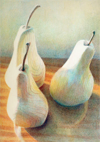 Livio de Marchi Pears #1 (297x210mm coloured pencil on Arches HP) Private Collection
