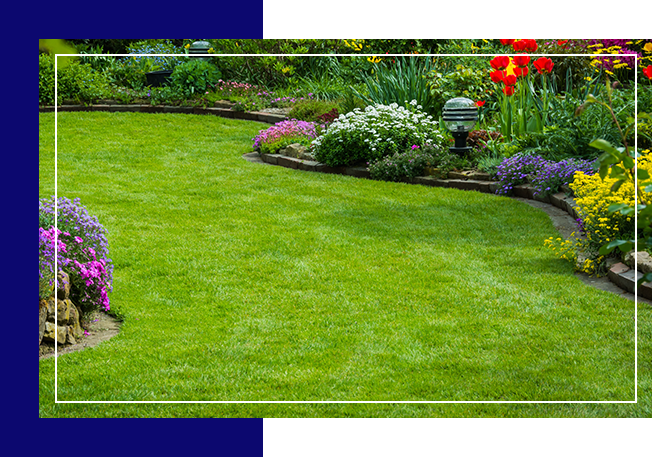 Lawn Serices