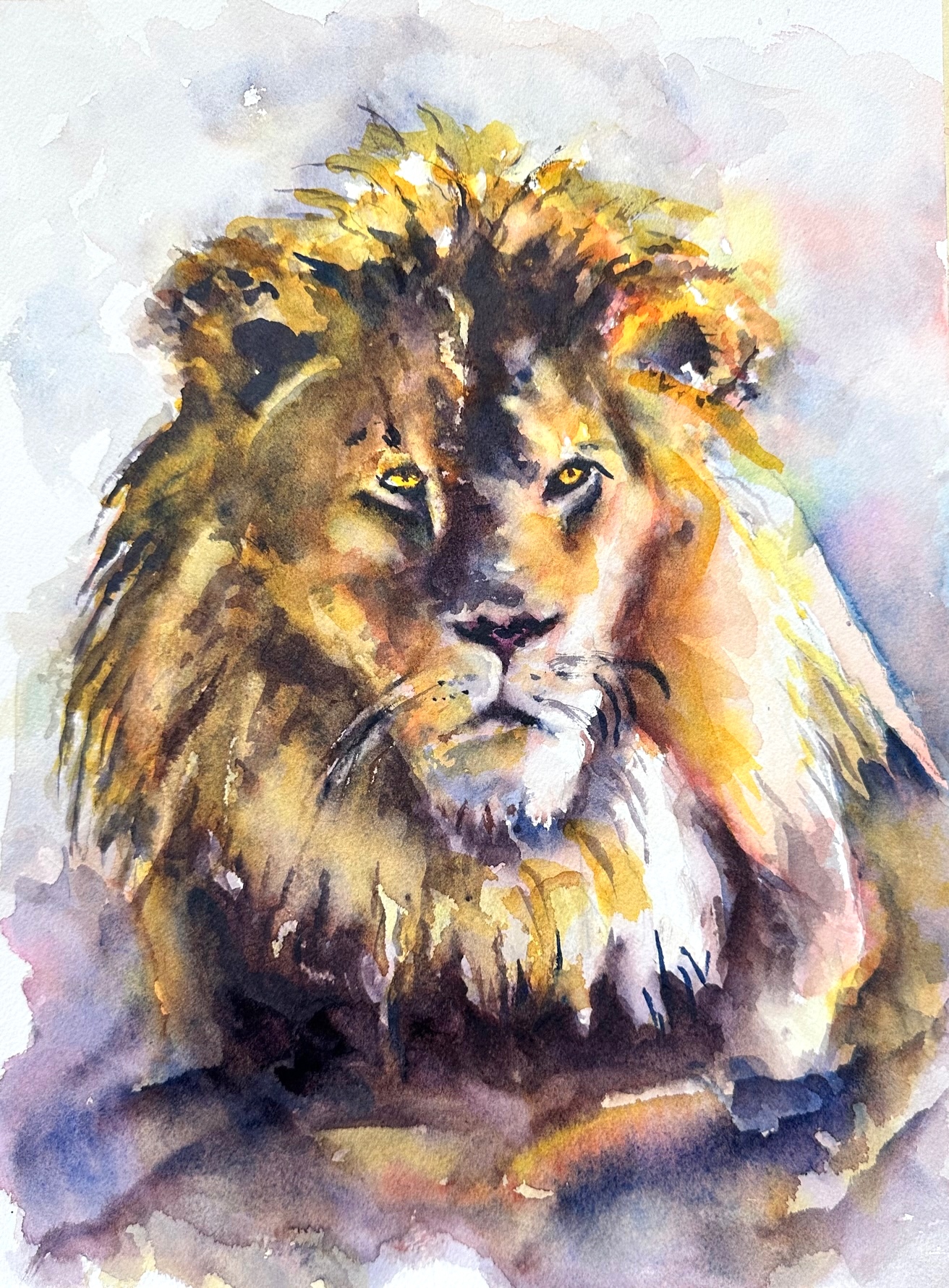 https://0201.nccdn.net/4_2/000/000/085/5a2/lion2.jpg