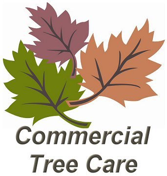 Commercial Tree Care