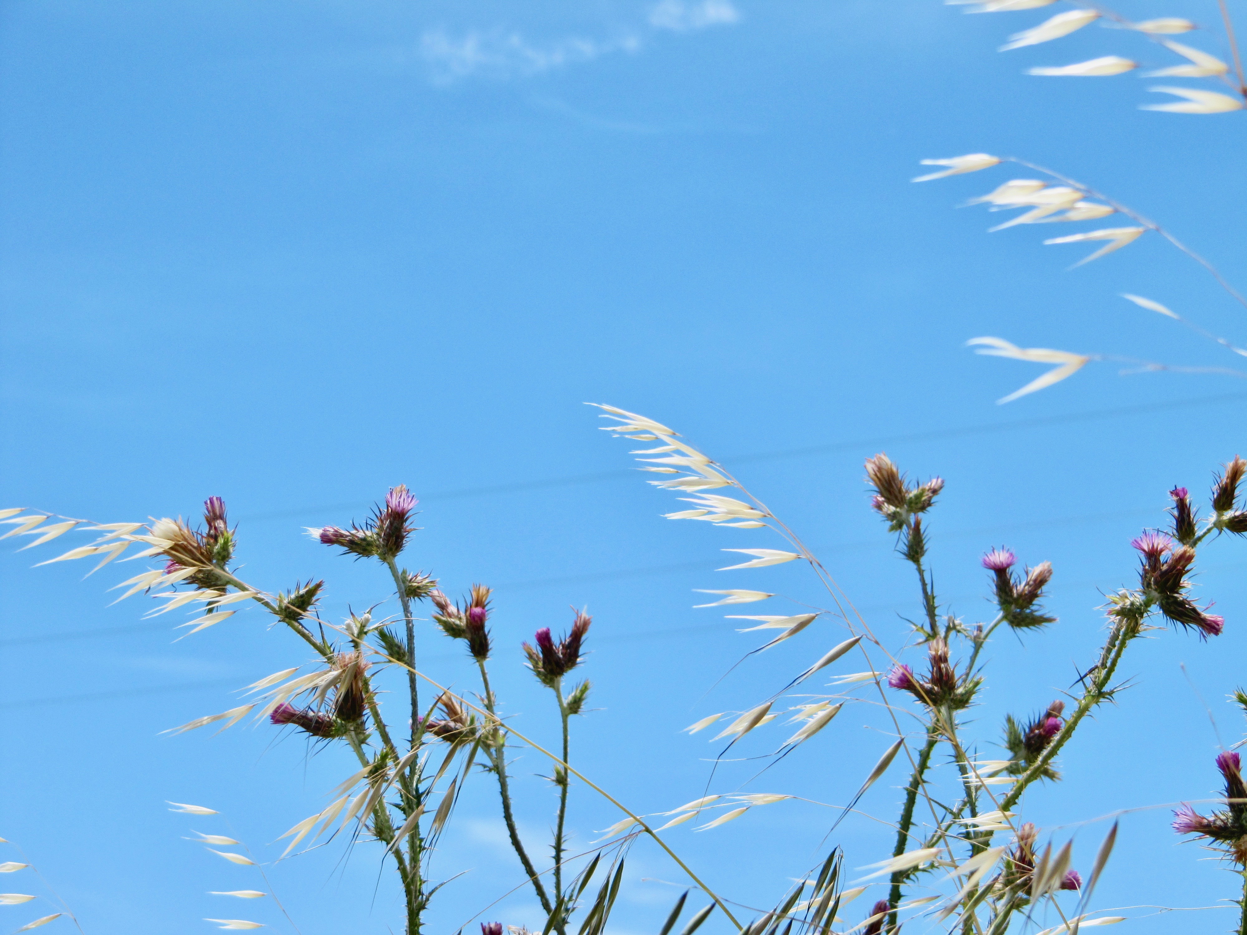 scape - series 1:9  2010