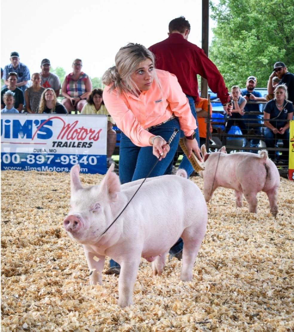Lena Stricklen 
Crawford County Summer Spectacular
Reserve Champion Yorkshire Barrow