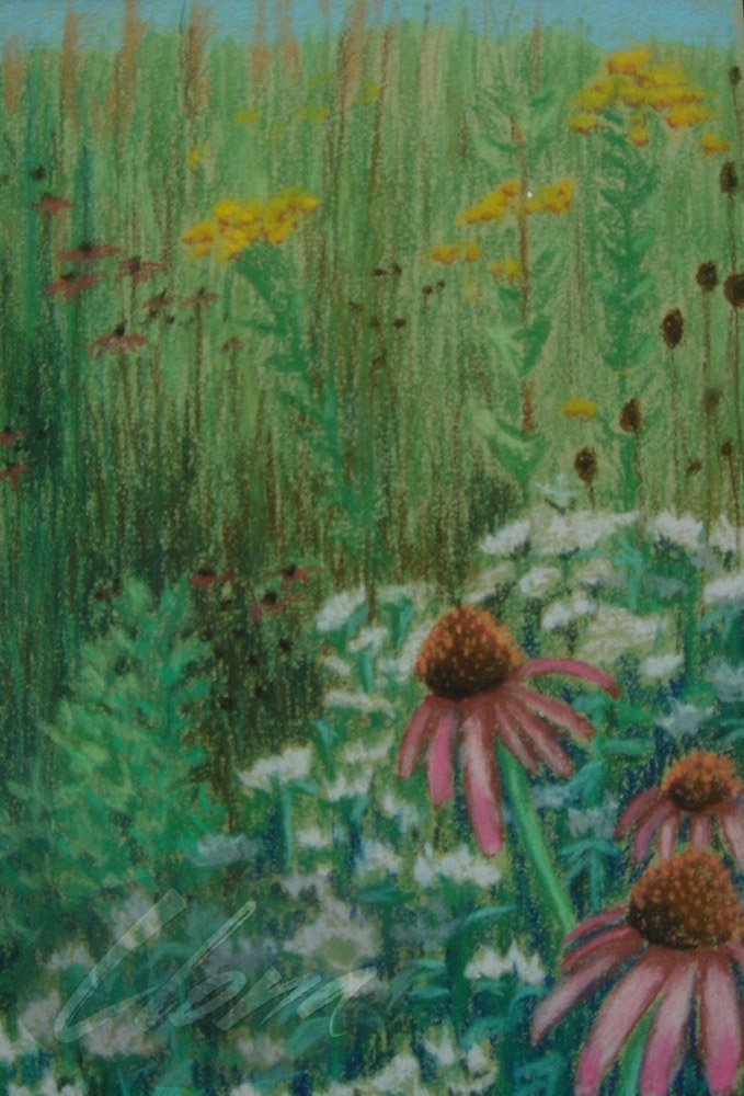 Greg’s Prairie
 Original Painting  - 9 "x 13"