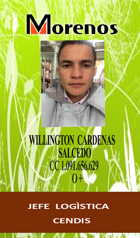 Couple riding bicycles