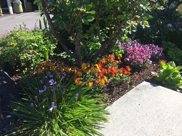 Gayle’s Bakery and Rosticceria 4