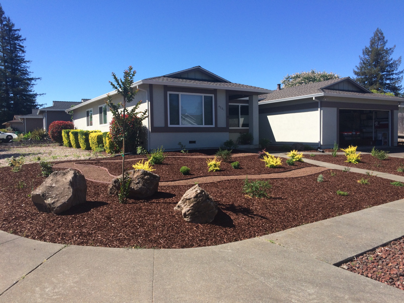 AFTER - drought-tolerant, colorful, easy-maintainance design 
