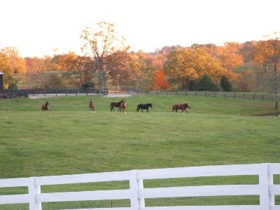 Farm in Fall
