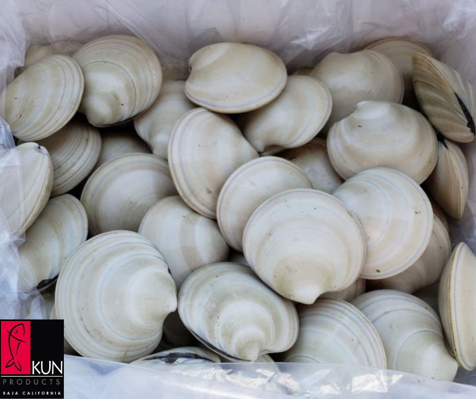 Kun Products Baja California - Conchas