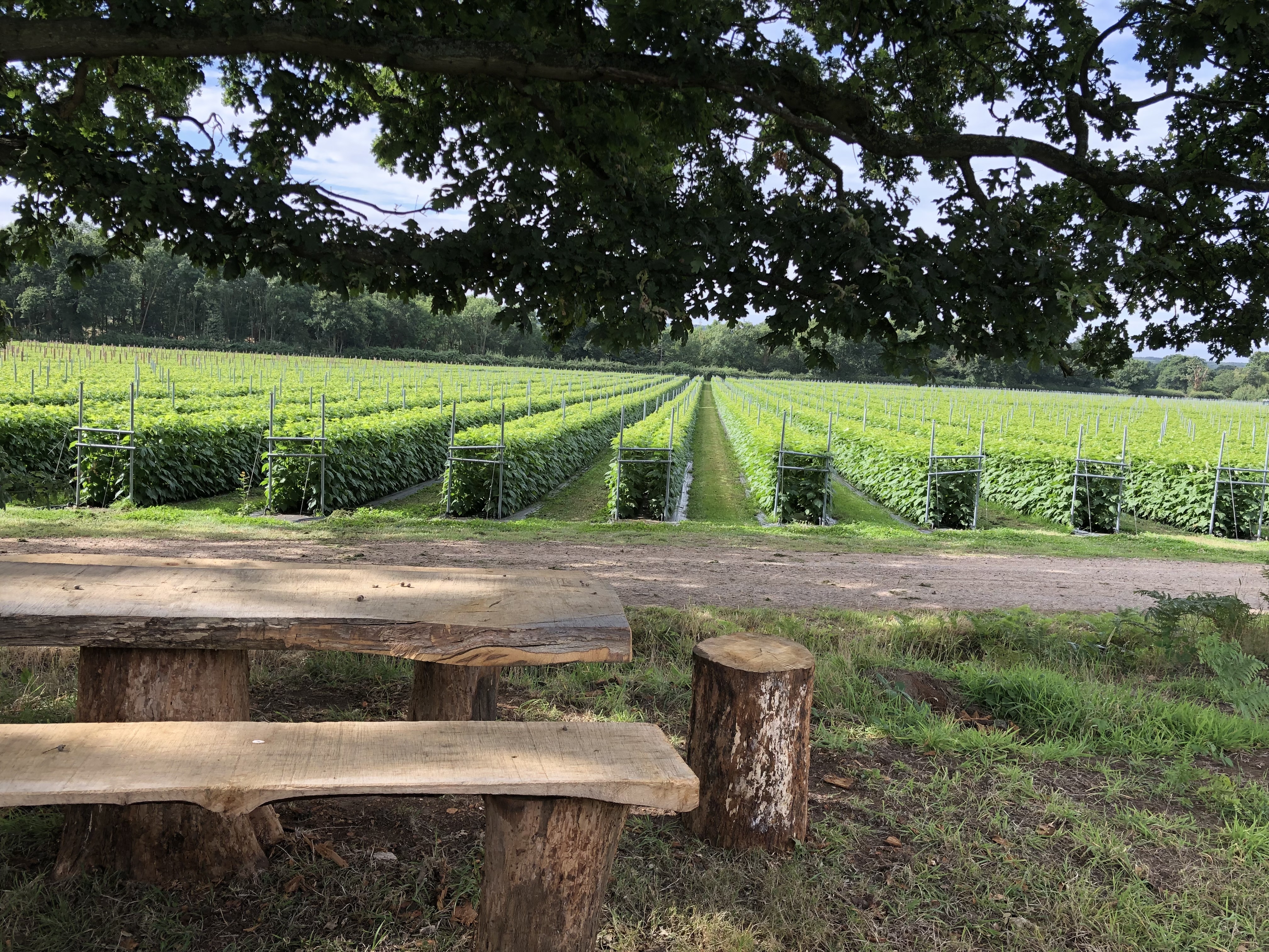 (##AI##(Background.image1.alt)##AI##)