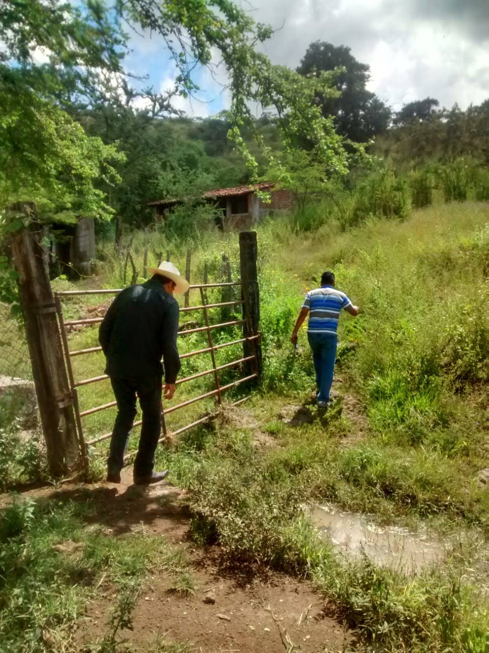 https://0201.nccdn.net/4_2/000/000/086/e7a/WhatsApp-Image-2018-09-19-at-6.11.52-PM.jpg